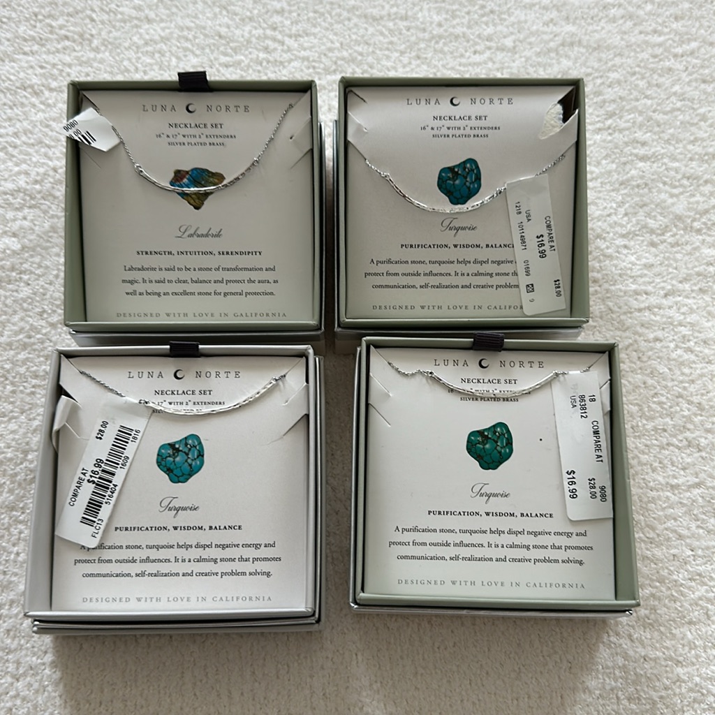 Luna Norte Silver Plated Necklace Only One Necklace 10$